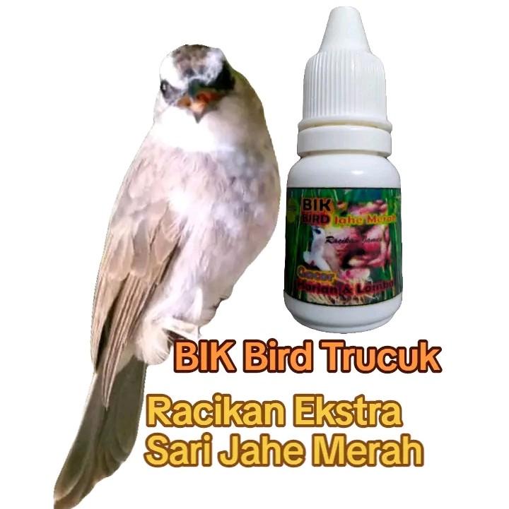 BIK Bird Trucuk. Ekstra Jahe Merah. Jametik. 0