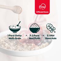 Gambar OATSY Oats With Multi Grain 750gr (Double Pack) dari Oatsy Oatmeal & Muesli Kota Administrasi Jakarta Barat 3 Tokopedia