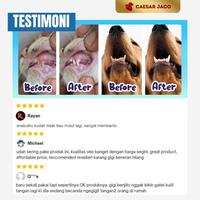 Gambar Obat Gigi dan Pembersih Karang Anti Bakteri & Bau Mulut Alami dari Caesar JacO Kota Administrasi Jakarta Barat 5 Tokopedia