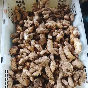 kunyit putih temu putih herbal terlaris 1000 gram