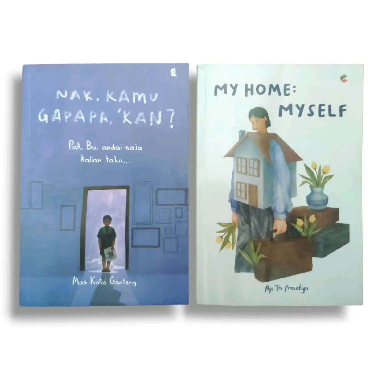 Paket Buku Nak Kamu Gapapa Kan? & My Home My Self