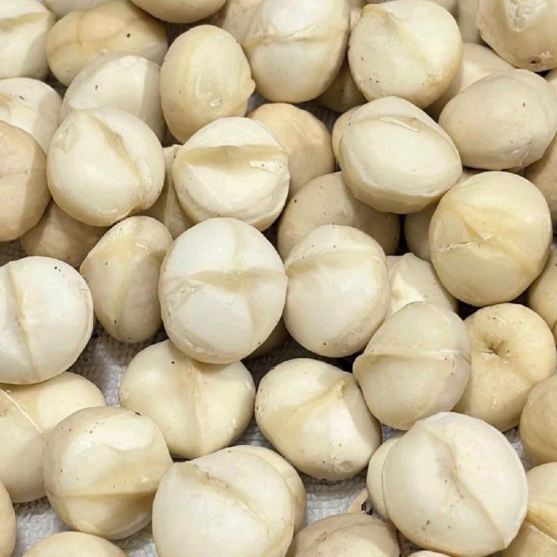 Nhân hạt Macca Sấy chín(đã bóc vỏ) đóng gói 500G