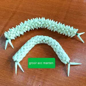 melati Keket lancip,melati Keket bulat