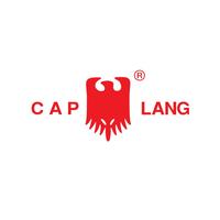 Gambar CAP LANG - Inhaler Lang 1.1 g - Inhaler Meredakan Hidung Tersumbat dari Cap Lang Shop Kab. Tangerang 3 Tokopedia