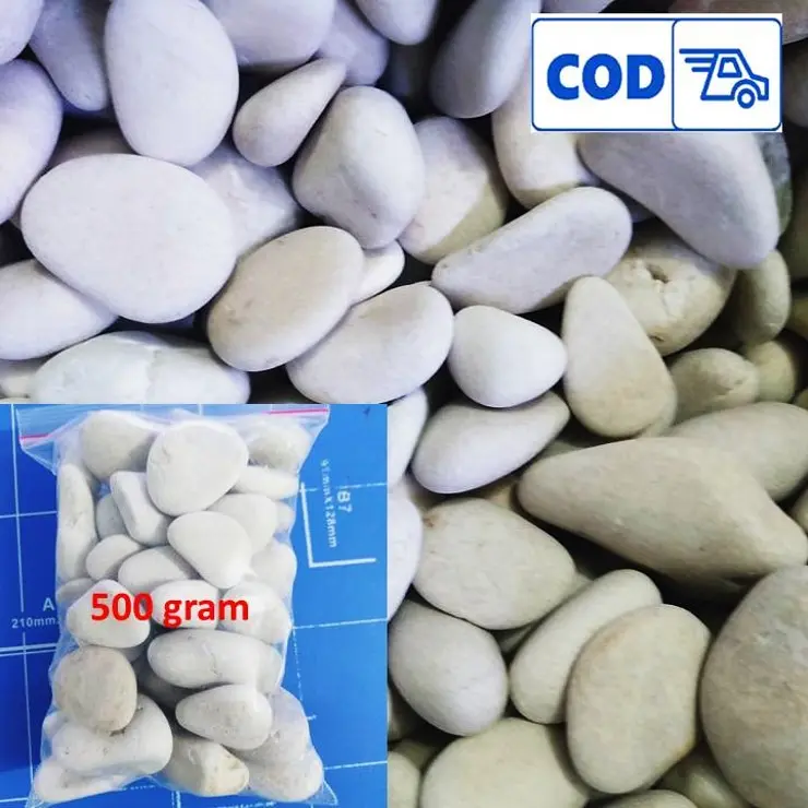 batu koral putih dekorasi aquarium aquascape berat 500 gram 4