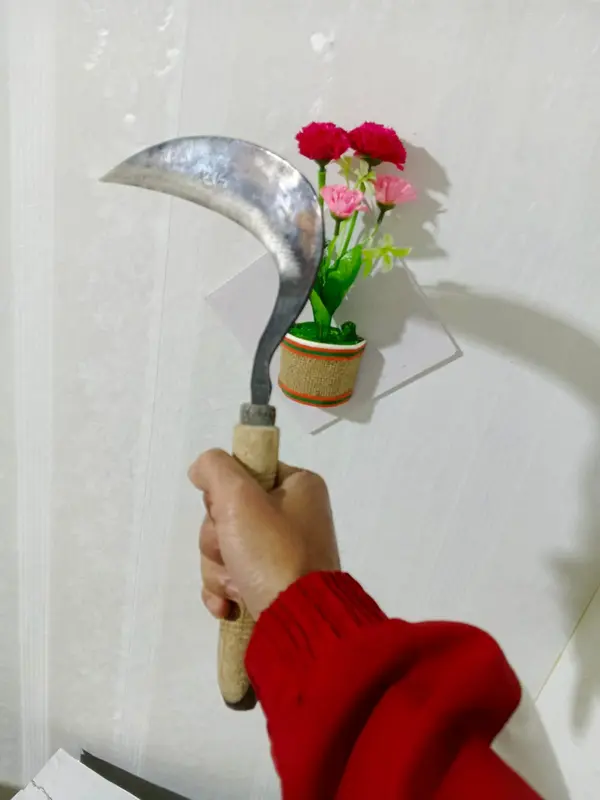 arit mini pemangkas padi dan rumput terbuat dari baja hss 1