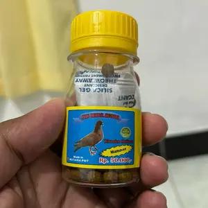 Jamu Merpati Kolong Mutiara Manuver