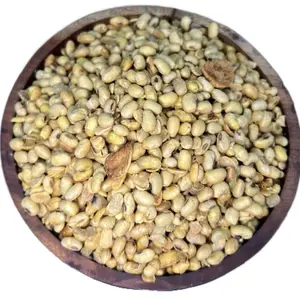 FF Kedelai Goreng Super Premium Bawang Putih Original 1Kg - Camilan Enak & Sehat Kaya Protein untuk Kenyang dan Kesehatan Tubuh Kacang