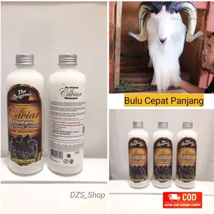 SAMPO KUDA (Mempercepat  Panjang Bulu Domba)