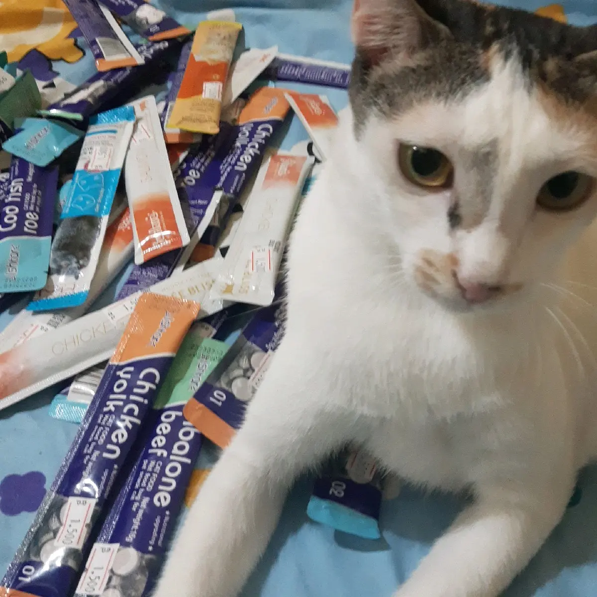 Snack Kucing Eceran Berbagai Varian Rasa
