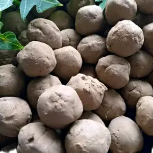 Paket 10 Biji Tanah Liat Lempung Putih dengan Bonus 1 Biji - Coklat