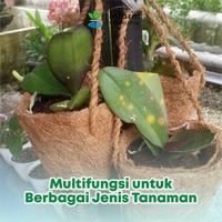 Gambar INFARM - Pot sabut kelapa Pot Tanaman Ramah lingkungan - KOTAK dari Infarm Kota Surabaya 4 Tokopedia