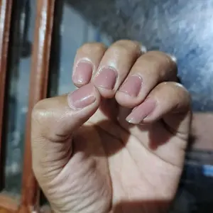 ᒪOᒪOᑕᕼIᑕ 2 Pcs Pinset Lucu Motif Kartun Warna Pastel Macaron | Tweezer Imut Penjepit Sticker