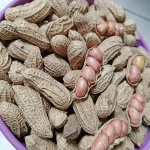 500 GRAM PROMO KACANG KULIT SANGRAI