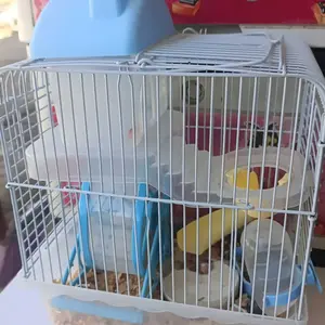 Petcho Roda Lari Hamster Anti Bising Tahan Gigitan Aman Tidak Terjepit PVC Treadmill Mainan Kecil