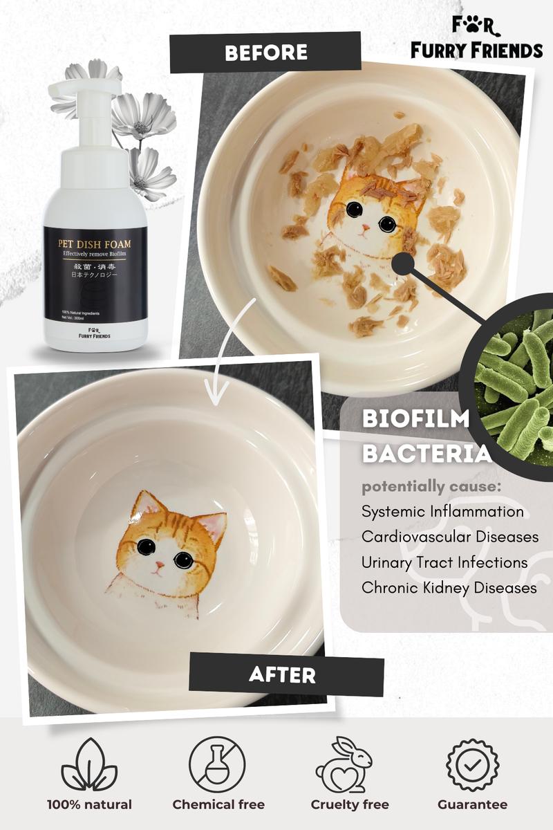 Product Introduction of (For Furry Friends) Pet Dish Foam 300ml 1