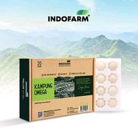 Gambar [BUNDLING 5 BOX] Telur Ayam Kampung Asli - Telur Omega 3 dari INDOFARM JAKARTA SELATAN Kota Administrasi Jakarta Selatan 5 Tokopedia