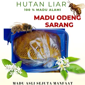 Madu odeng sarang 1 kg hutan liar murni