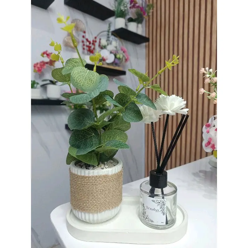 Sensha Galeria Set Daun Eucalyptus Pot Diffuser / Hiasan Meja Estetik / Hiasan Rumah Estetik / Hiasan meja kantor meja kerja Hampers Home decor 5
