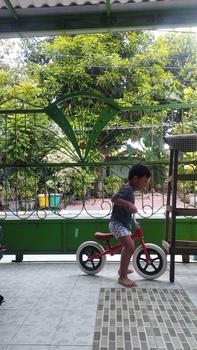 Product Review of [COD] SM M261 Sepeda Mainan Keseimbangan Anak Roda 2 Tanpa Dayung Sepeda Anak Kado Beraneka warna from S**a 3