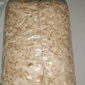 SERBUK KAYU HAMSTER PREMIUM HALUS & LEMBUT BEBAS DEBU DAN BERSIH