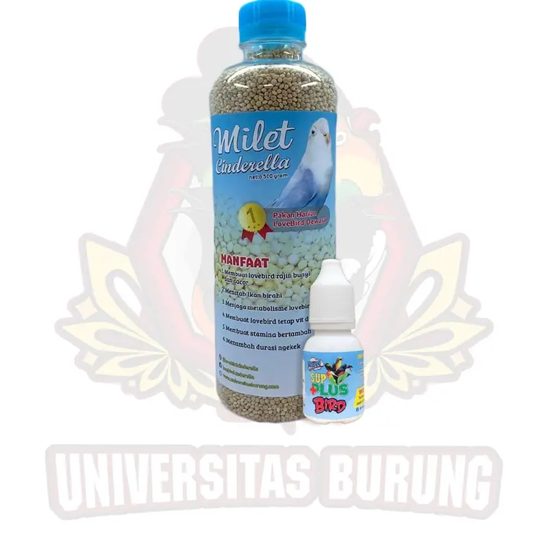 Paket cinderella dan sup plus bird 0