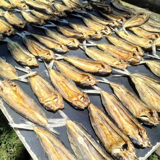 Furikake Ikan 50g Terbang & Bonito Homemade | Topping Nasi Natural | Tanpa MSG | Ikushima Store 6