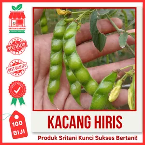 Benih Kacang Hiris Gude (100 BIJI) Unggul Pilihan
