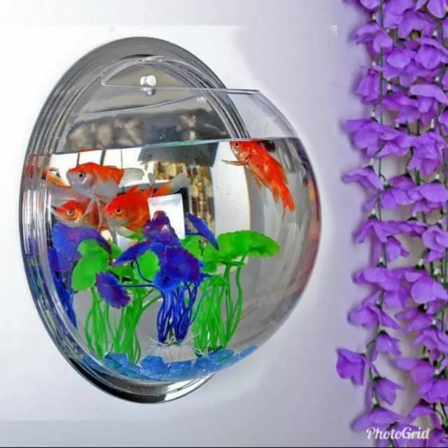 Aquarium Tempel Dinding 4