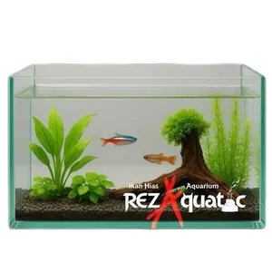 Aquarium Kaca 30x15x15cm Kualitas Tinggi Cocok untuk Ikan Hias Aquascape dan Terrarium Tampilan Elegan dan Tahan Lama