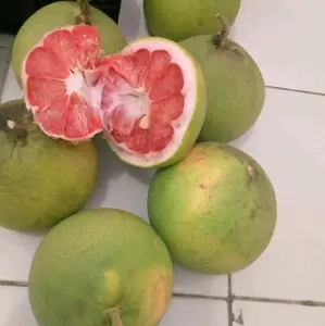 Buah Jeruk Bali manis/pamelo madu harga tuk 1 buah