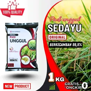 Benih Padi Unggul Sedayu Kemasan 1-5 Kg Premium Berkecambah 99,9% Original