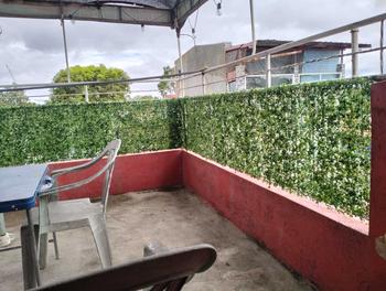 Product Review of 40*60cm Artificial Grass Milan Grass Wall Decor Artificial Plant Foliage Hedge Grass Mat For Wall Decors New Anti-ultraviolet Milan Grass Simulation Plant Wall Artificial Background Wall Decoration Anti-uv Plastic Fake Green Plants from D**o 0