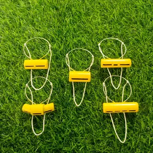 Sawangan Merpati Nyaring Hotang Pluit Hontang Burung Dara Terbaik