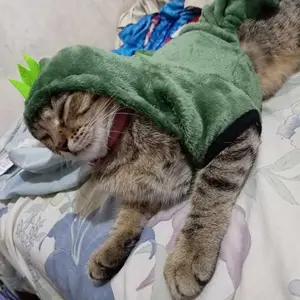 Baju Anjing Kucing Model Dinosaurus | Hoodie Anjing Kucing Dino | Pet Clothes | Baju Anjing Kucing Murah