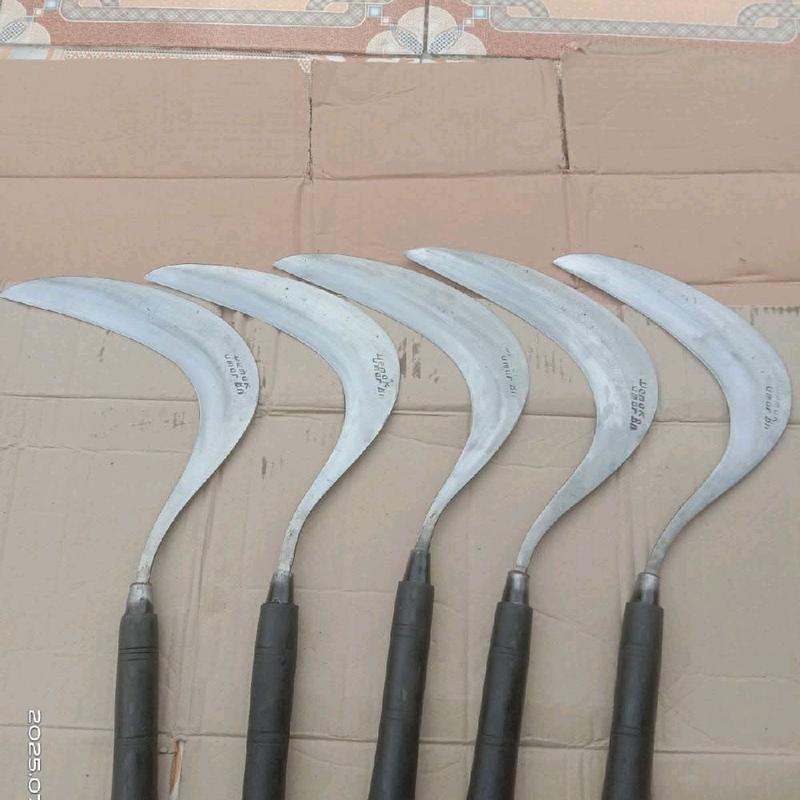 Arit Rumput Baja Bar Chainsaw - Produk dengan Deskripsi yang Diberikan ...