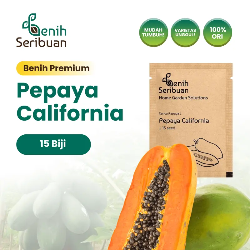 Benih Buah Pepaya California F1 Hibrida Premium - Benih Seribuan 0