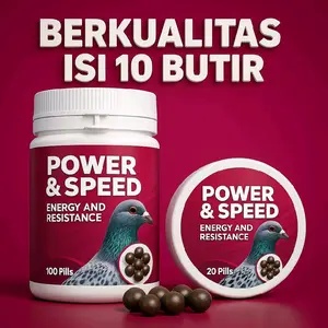 Power speed 10 butir untuk sprint terbang kencang untuk energi dan ketahanan pada merpati
