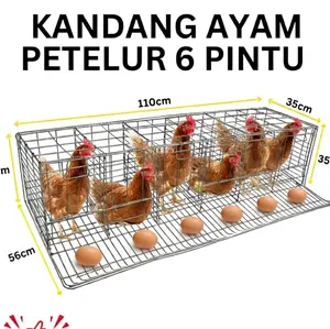 Kandang Ayam Petelur 6 Pintu Ukuran 110cm x 35cm x 56cm untuk Peternakan Ayam dan Produksi Telur