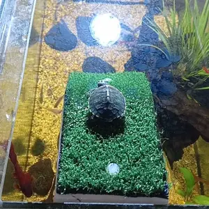 Platform Turtle Basking Island Akuarium Tempat Alas Berjemur Kandang Kura Kura Tatakan Jemur Kurakura Aquarium Anti Slip