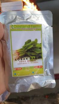 Product Review of 3 Benih Labu Air Panjang Balistik Super Bibit Sayuran Unggul Bintang Asia Tanaman Sayur Berkualitas from J** J** 0