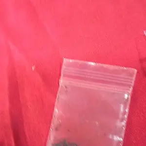 500 BUTIR BENIH BUNGA MOSSROSE/PORTULACA ROSE