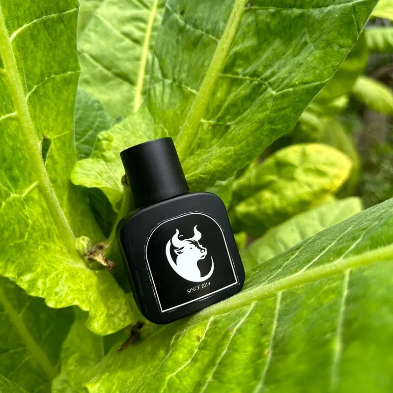 Parfum Cowok/Cewek Murah Meriah Wangi & Tahan Lama Perfume Pria Perempuan Wanita Merah 8