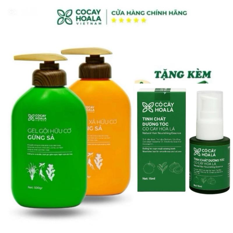 COMBO GỘI - Serum Dưỡng Tóc Combo Dầu Gội Xả Thảo Dược Cỏ Cây Hoa Lá Gừng Sả 500g chai & Serum Tinh Dầu Bưởi Trà 15g – Giảm Gàu Hết Bết Dính Dưỡng Tóc Chắc Khỏe – Hỗ Trợ Mọc Tóc Làm Dày Tóc Tự Nhiên