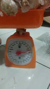 Product Review of BAPUT KATING 500GR 1 KG  BAWANG PUTIH KATING FRESH from B**d 2