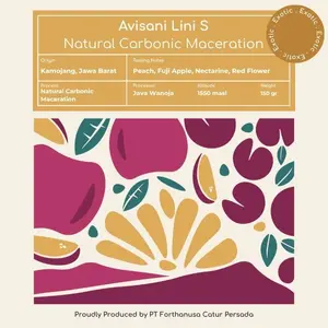 Avisani Lini S Natural Carbonic Maceration 150 gram - Biji Kopi - Biji Kopi Arabika by FORTH Coffee Co.
