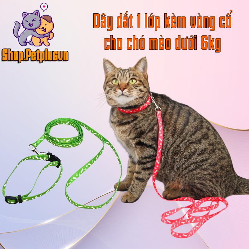 Dây dắt kèm vòng cổ cho chó mèo nhỏ