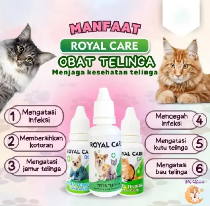 (The Ham's) Royal Care ObatTetes Telinga untuk Kucing dan Anjing 10mL