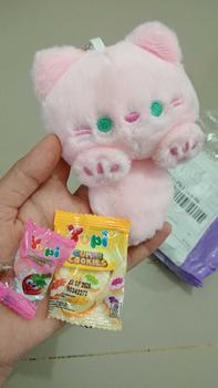 Product Review of Plushie Keyring Doll Enhypen from L**h 0