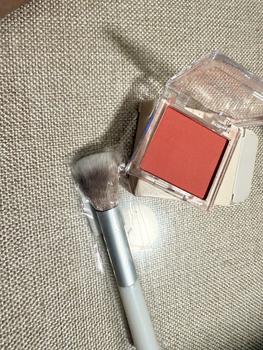 Product Review of [Buy 1 Take 1 Free ] Monochrome Blush +Free Blush Brush 2PC Makeup Set ,Nude Makeup Natural Waterproof Bright Skin Color Panel Matte Cosmetics Blusher Facial Powder from B**B 0